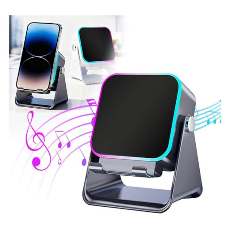 Wireless Induction Speaker